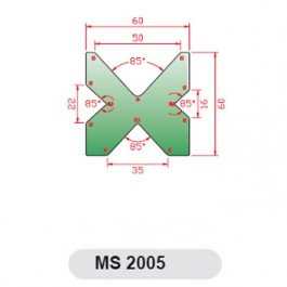 MS 2005